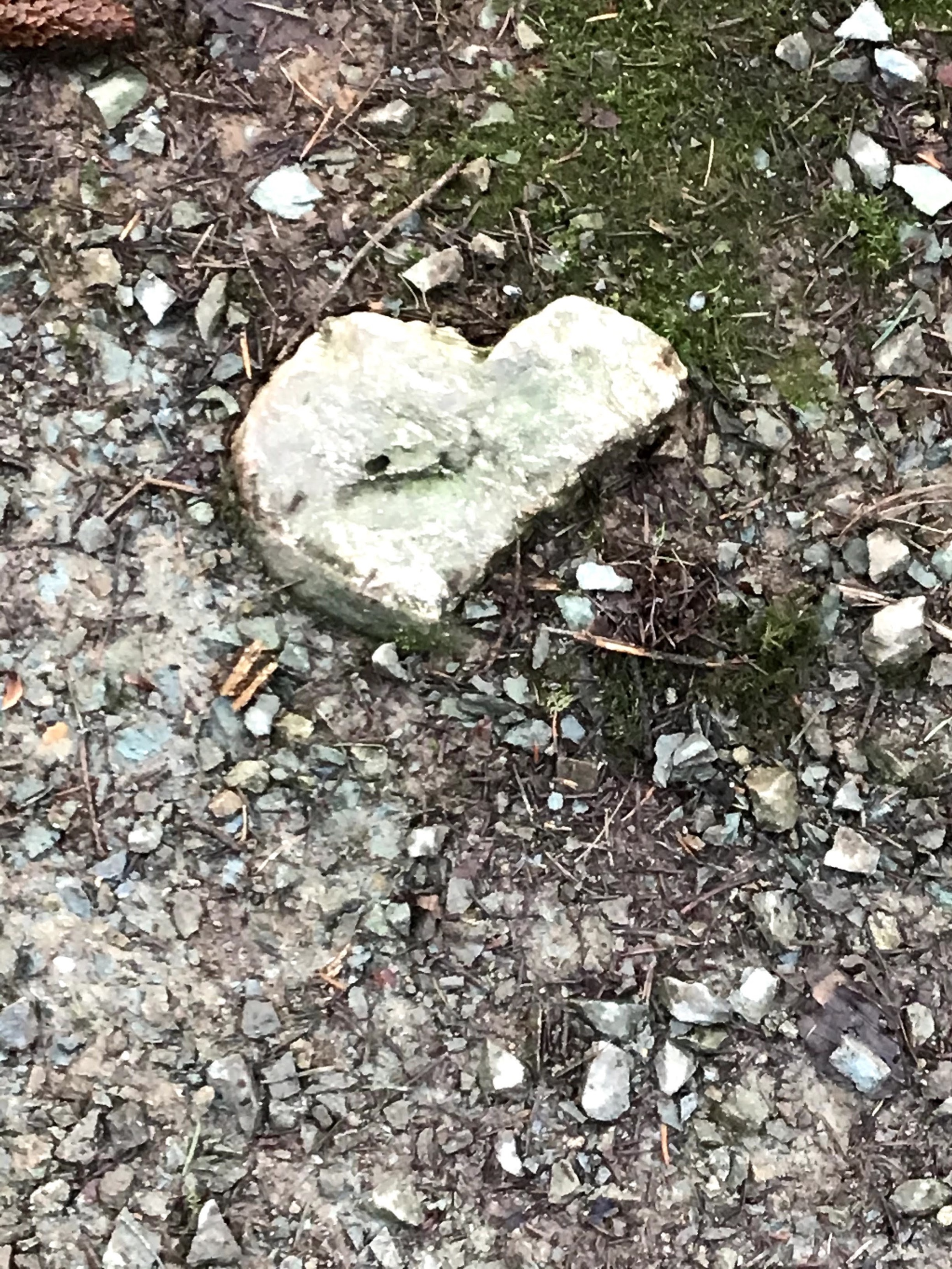 Heart Shaped Broken Rock